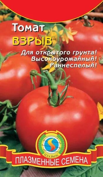 Помидоры взрыв фото и описание Плазменные семена Для огорода_manlvi3s0wn6eic2mva7 - купить по выгодным ценам в 