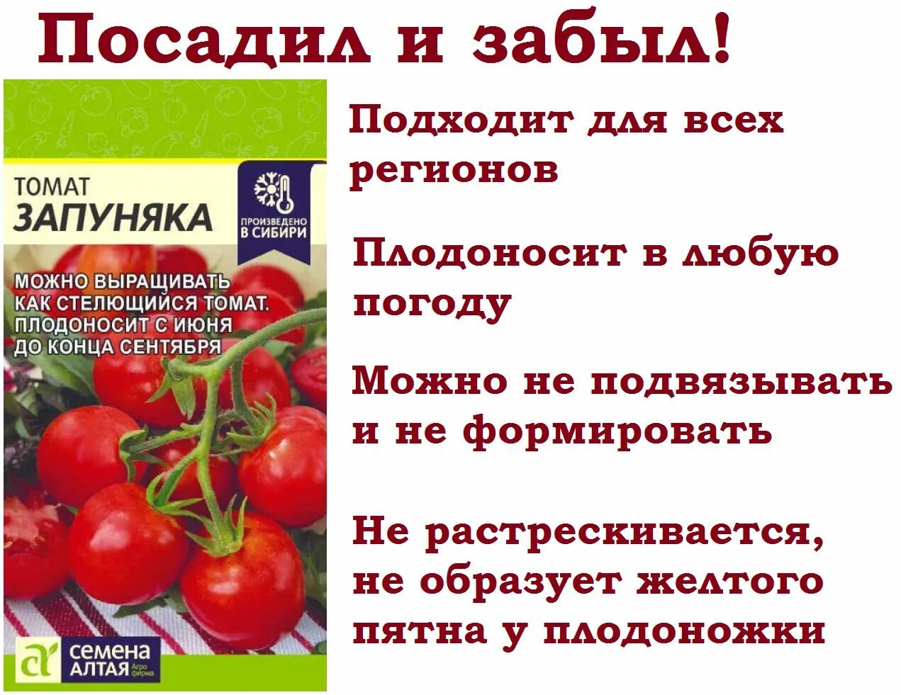 Помидоры запуняка фото Томаты Семена Алтая Томат Запуняка СА_1 - купить по выгодным ценам в интернет-ма