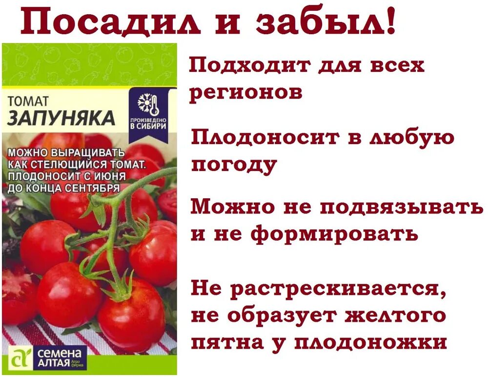 Помидоры запуняка описание сорта фото Томаты Семена Алтая Томат Запуняка СА_1 - купить по выгодным ценам в интернет-ма