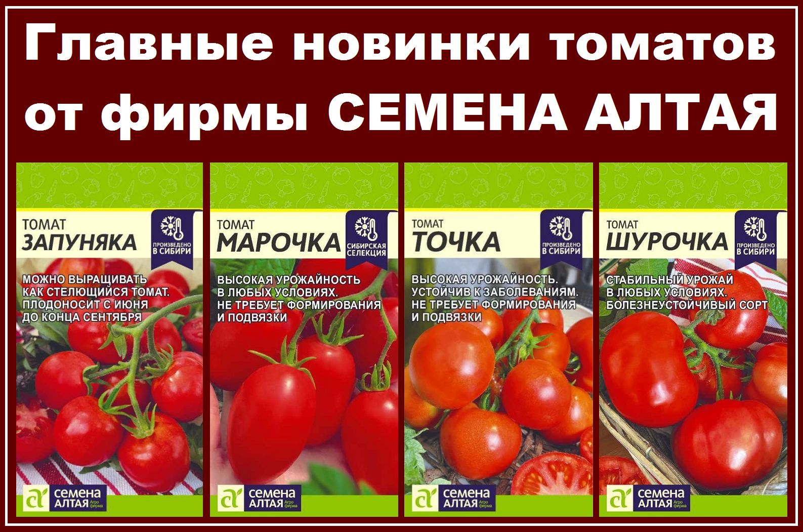 Помидоры запуняка описание сорта фото отзывы цена Томаты Семена Алтая Запуняка, Марочка, Точка, Шурочка - купить по выгодным ценам
