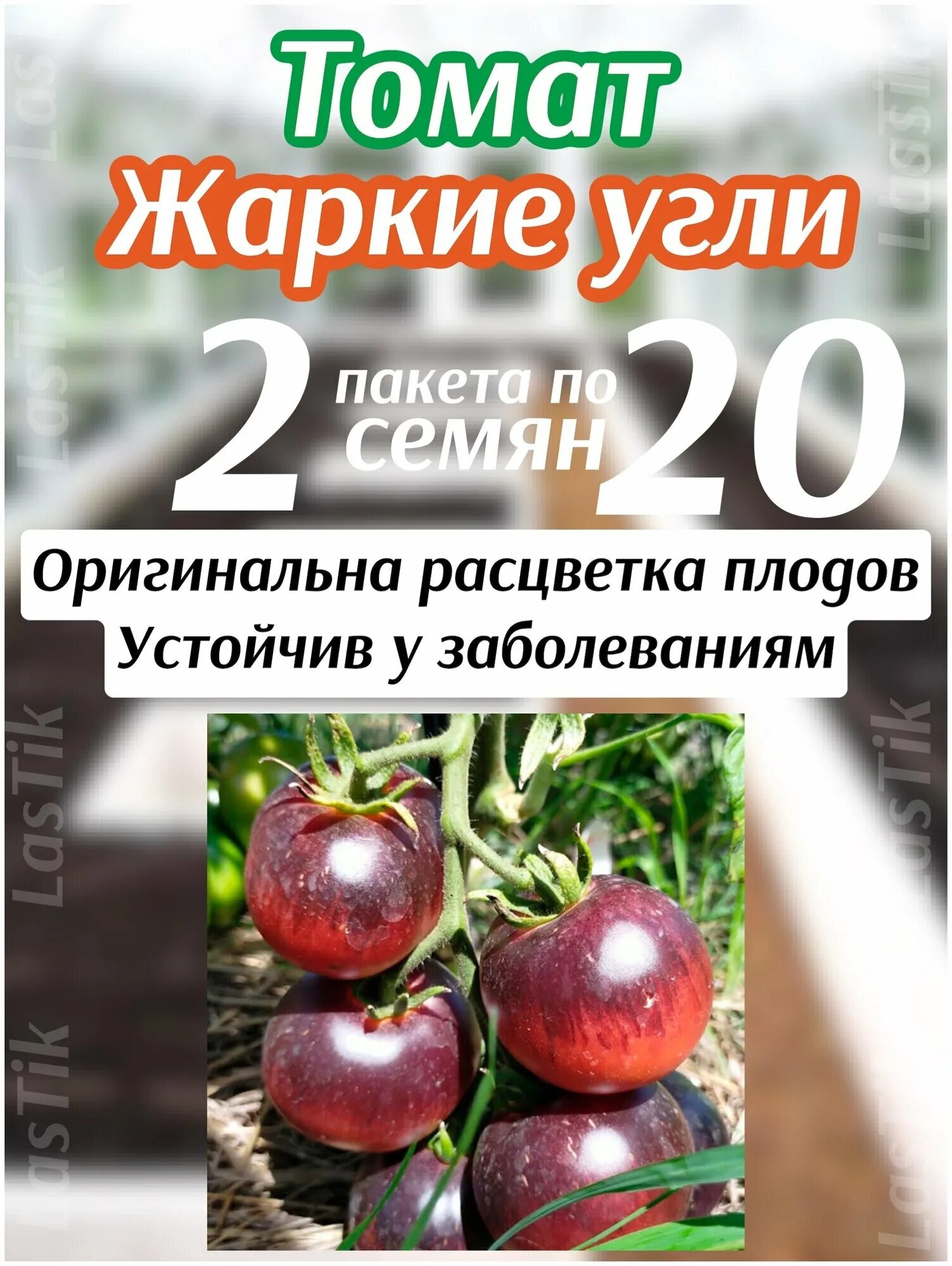 Помидоры жаркие угли описание сорта фото Помидоры уголек - купить по низкой цене на Яндекс Маркете