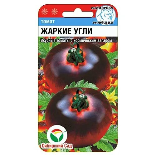 Помидоры жаркие угли описание сорта фото Томат Жаркие угли Сибирский сад (94405): купить семена почтой в России интернет-