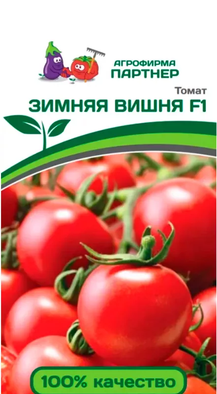 Помидоры зимние описание сорта фото отзывы Томат "Партнер" Зимняя Вишня F1 10шт купить по цене 186 руб, семена Партнер с до