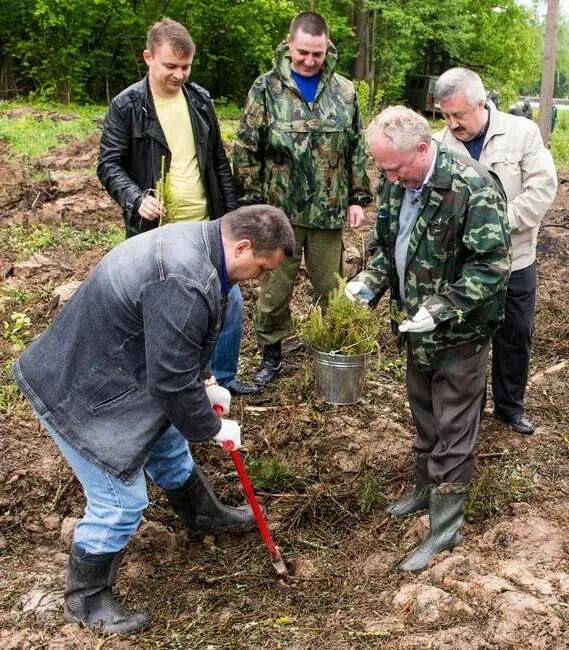 Помоги жить калуга октябрьский округ фото В Калужской области высадили 100 тысяч саженцев ели" в блоге "Лесоводство, Рыбов