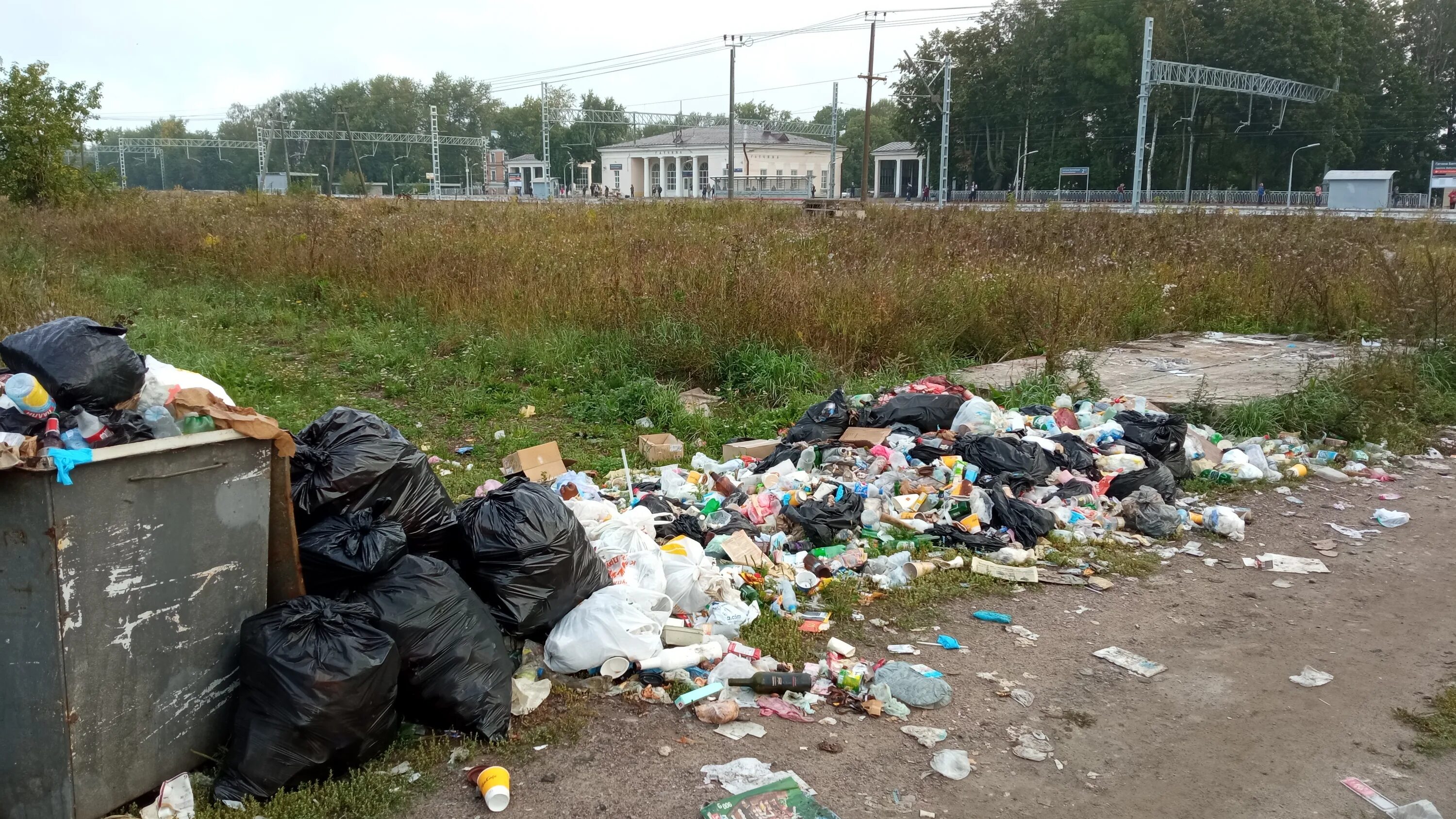 Помойка фото городская Мусорная свалка в центре Гатчины : Обращения граждан