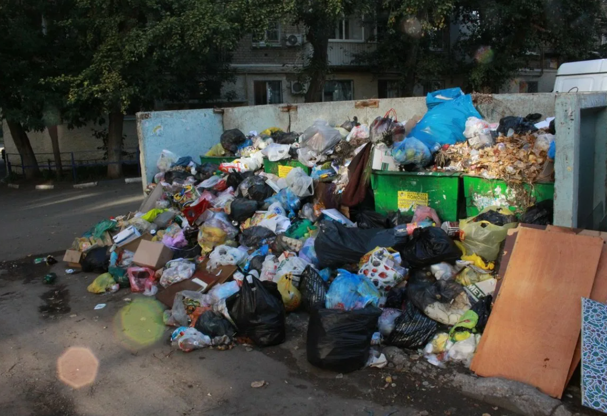 Помойка фото городская Вскрылись жуткие подробности: выкинувшая в мусорку своего новорожденного мать за