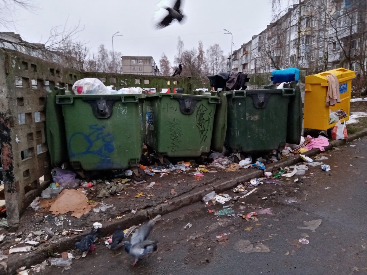 И смех, и грех: архангельские городские помойки пронумеруют и отследят - МК Арха