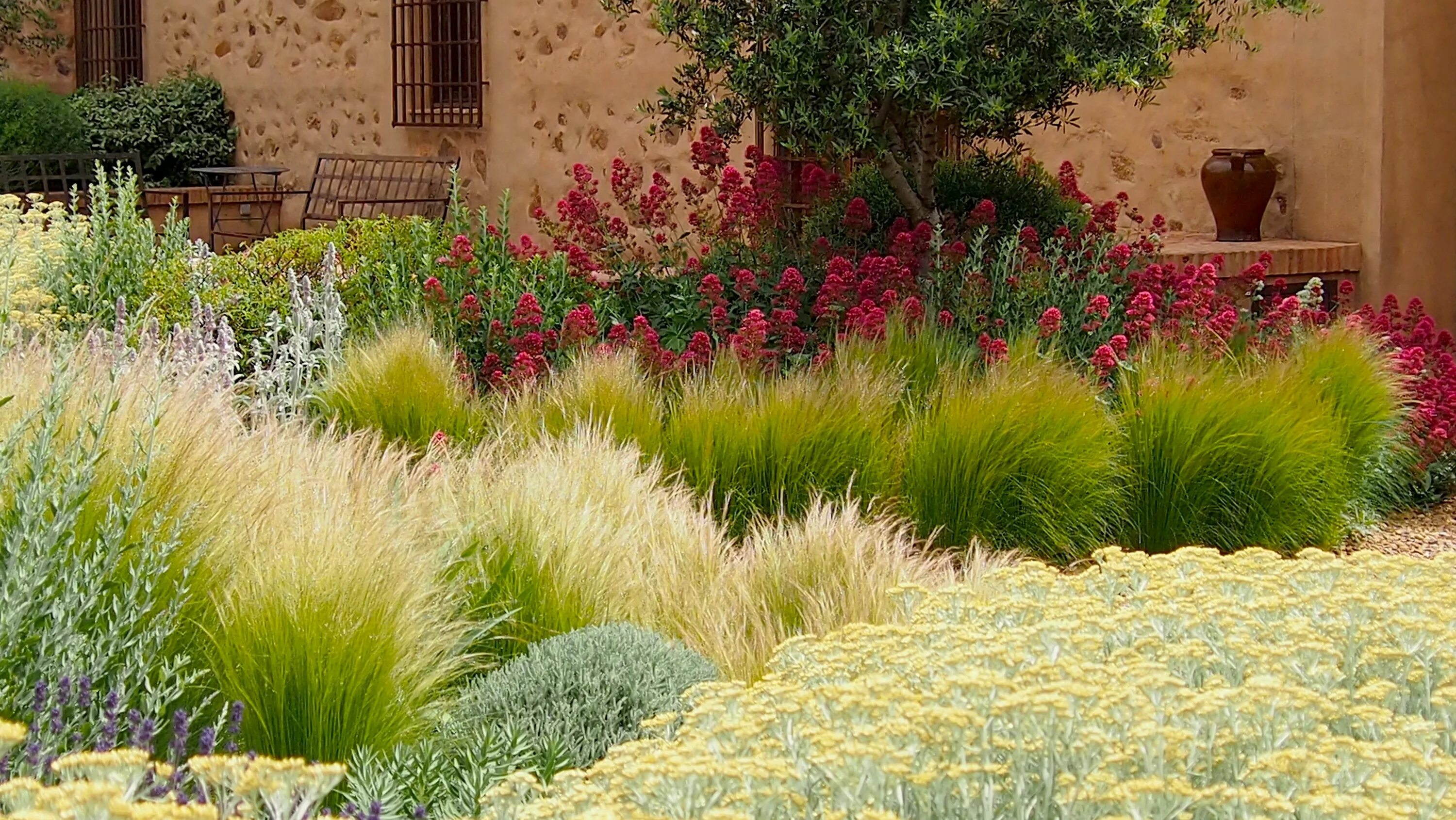 Помпезная трава фото Urquijo-Kastner Landschaftsbau, Gräser im garten, Garten