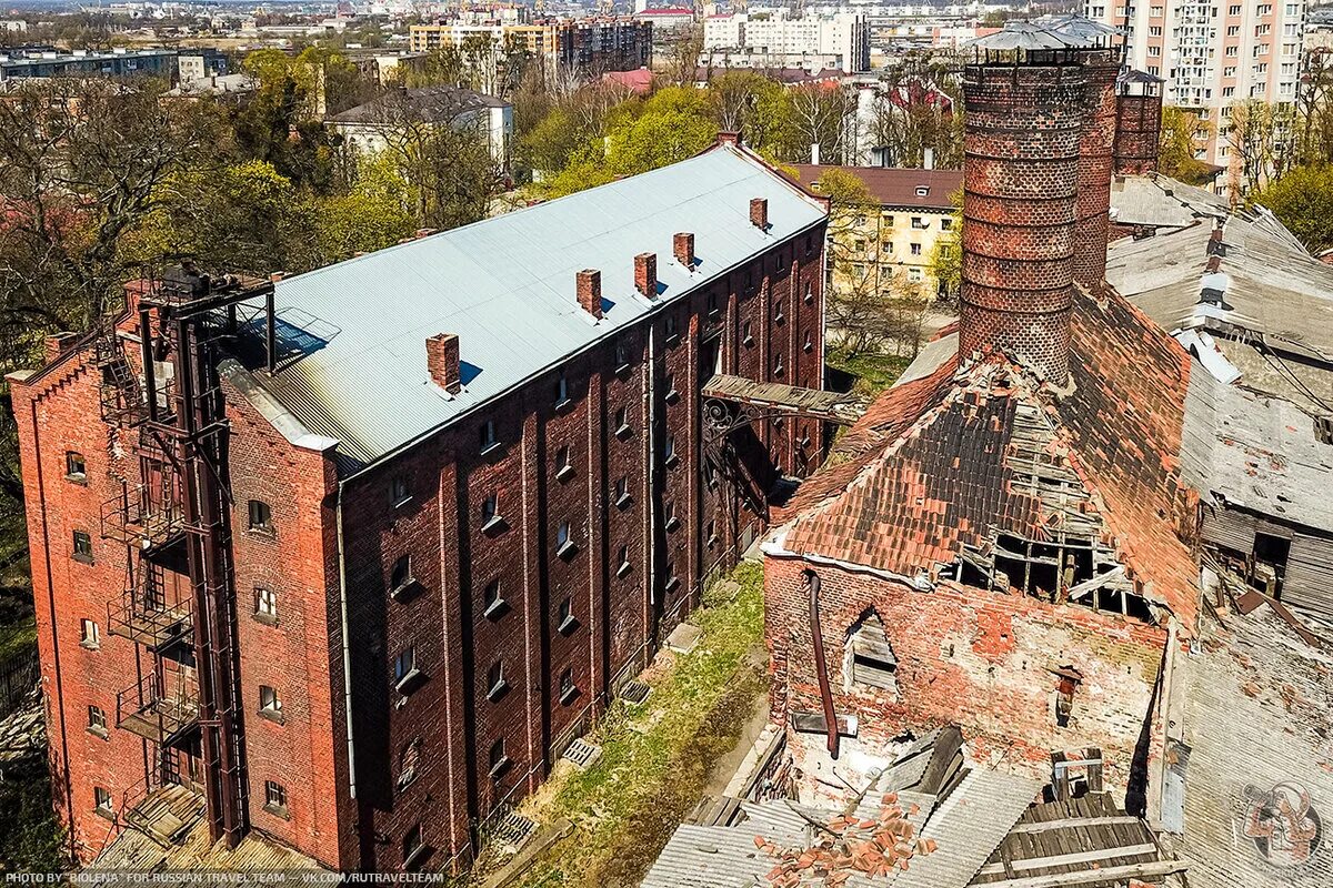 Понарт в калининграде фото Что делать с огромным заброшенным пивоваренным заводом Понарт в Калининграде? No