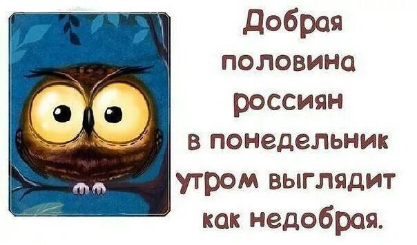 Понедельник доброе утро смешные картинки Пин от пользователя Наталия Николаева на доске Дни недели. Надписи, Картинки, См