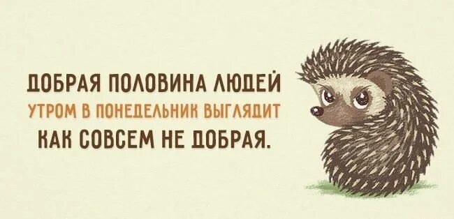 Понедельник доброе утро смешные картинки Пин на доске ДНИ, Неделя, Пятница Веселые мысли, Картинки, Цитаты