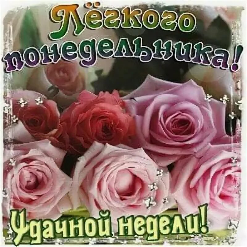 Понедельник картинки красивые с пожеланиями Pin on С Добрым утром ! Good mood, Rose, Flowers