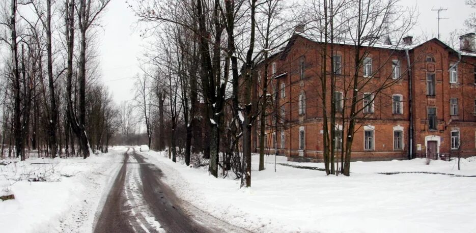 Понтонный поселок фото Улицу Новую в Санкт-Петербурге переименовали в Череповецкую - ГородЧе