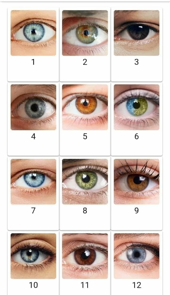 Понять какой цвет глаз по фото Pin by Yessy Maa on Cosas que adoro Eye color, Twin flame art, Eye color chart