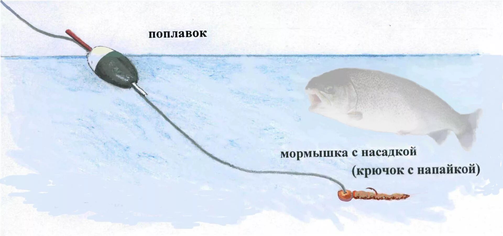 Поплавочная оснастка на форель Ловля форели на поплавок, оснастка поплавочной удочки