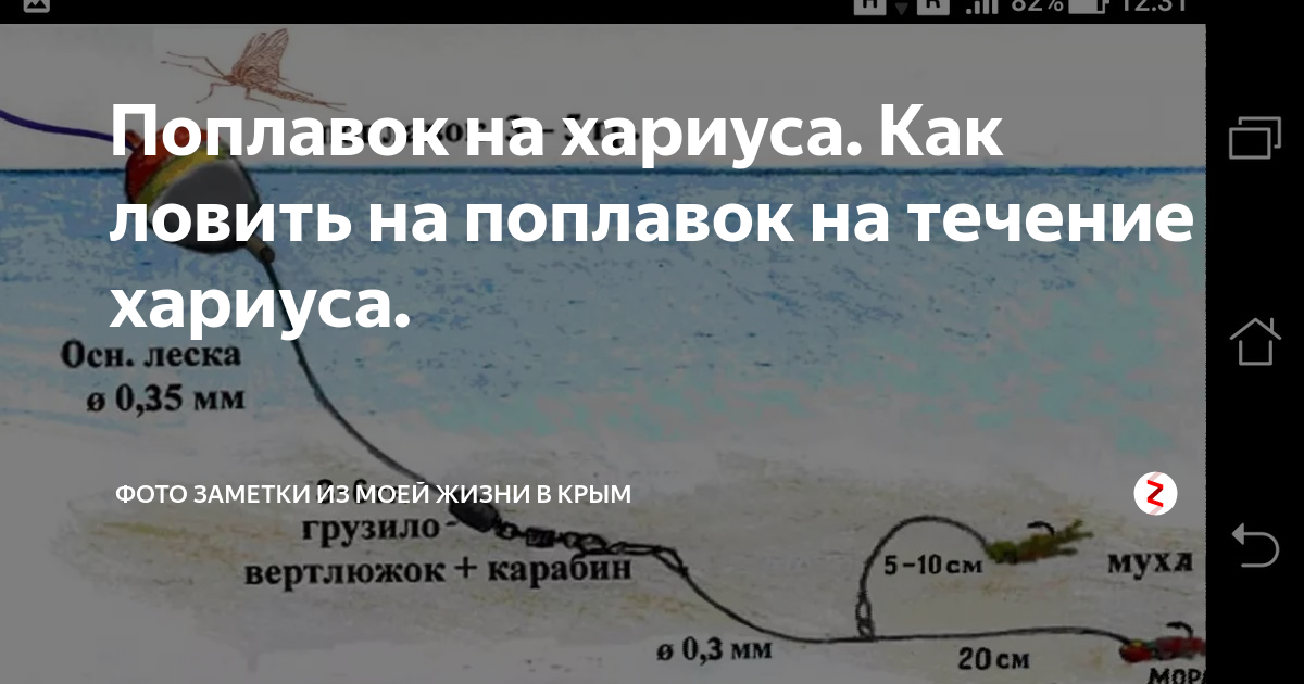 Поплавочная оснастка на хариуса Поплавок на хариуса. Как ловить на поплавок на течение хариуса. Фото заметки из 