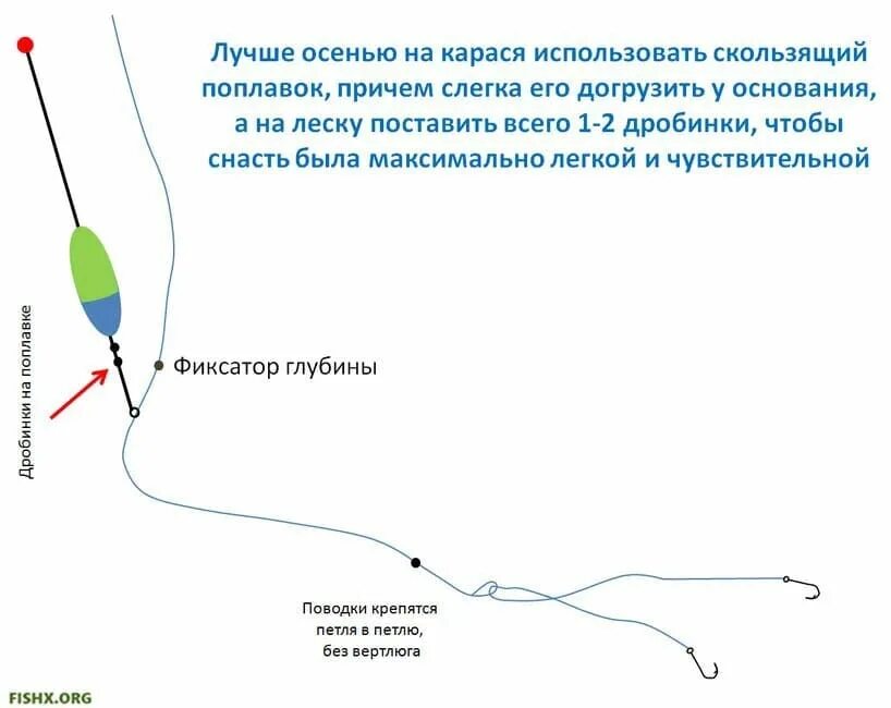 Поплавочная оснастка на карася с двумя крючками Карась осенью: снасть, процесс и особенности ловли