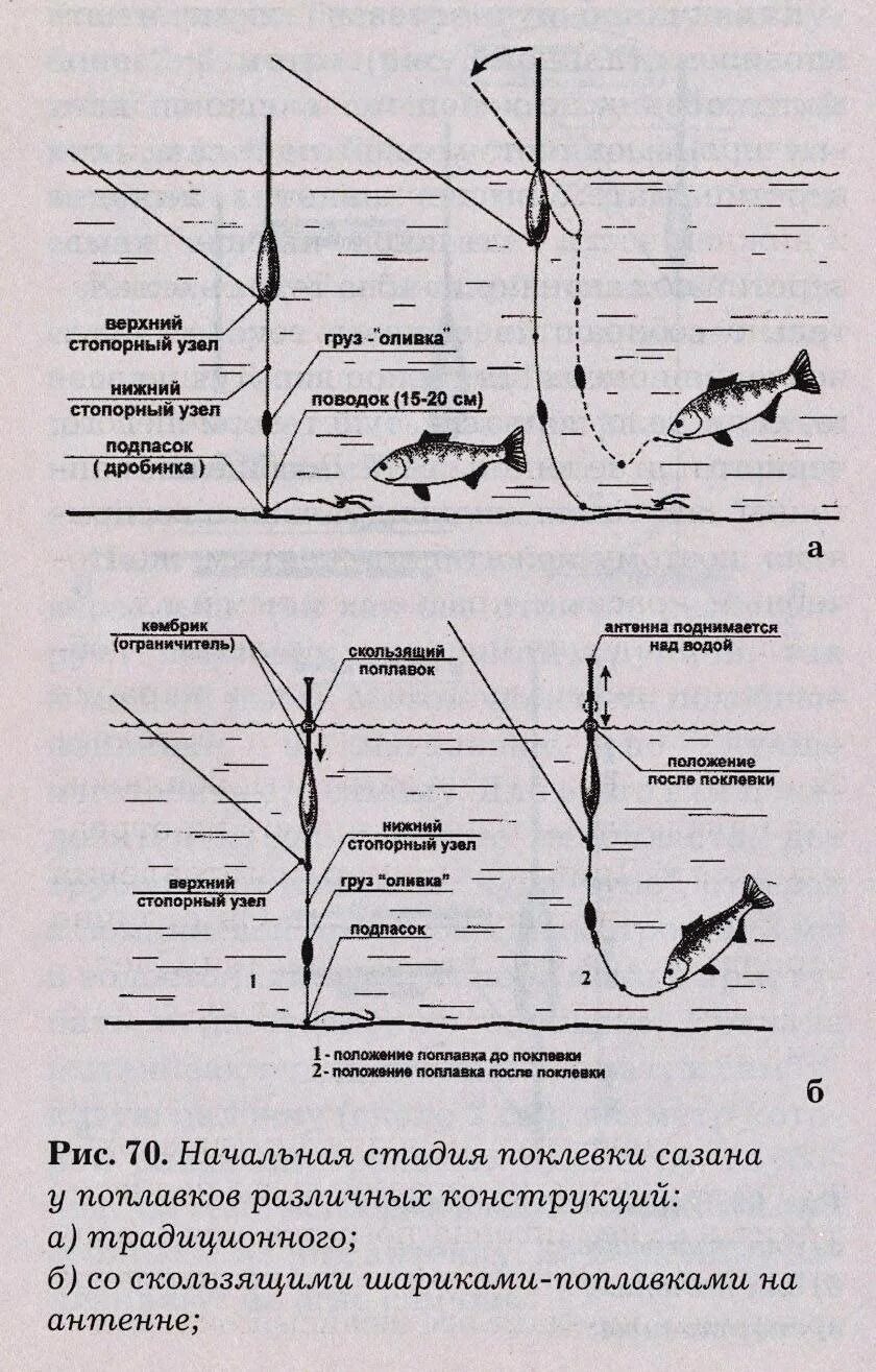 Поплавочная оснастка на карпа Ловля крупного карпа и сазана: тонкости ловли на поплавочную удочку