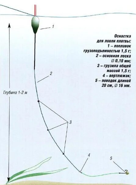 Поплавочная оснастка на плотву Catching a large raft on peas Flesh is an omnivorous fish. And if you try to lis