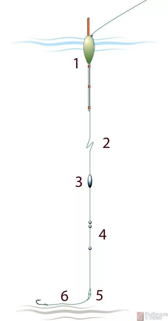Поплавочная оснастка на плотву Речная плотва: выбор места ловли и оснастки - читайте на Сatcher.fish