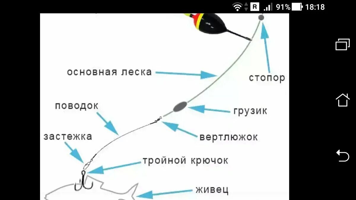 Поплавочная оснастка на щуку Простая живцовая снасть с поплавком, снасть тройным крючком Фото заметки из моей