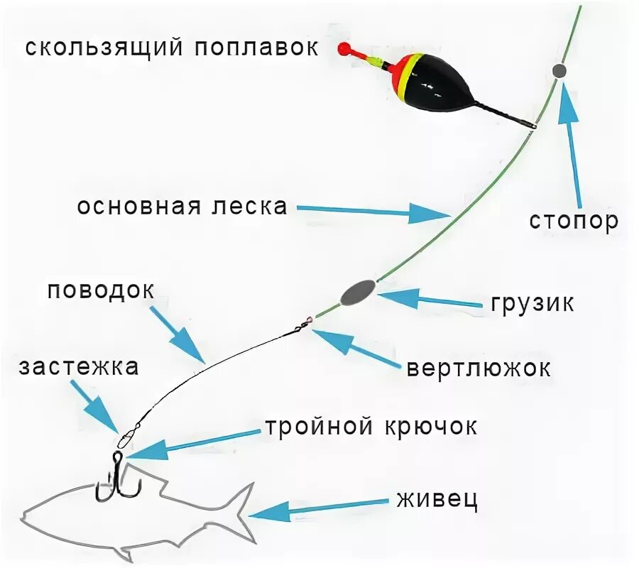 Поплавочная оснастка на щуку Правильная оснастка - залог успеха. Как подготовить спиннинг к ловле хищника?, п