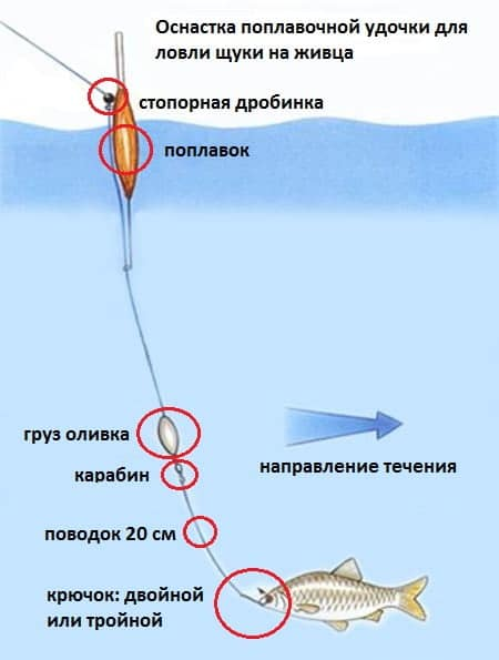 Поплавочная оснастка на щуку на живца Поплавочная рыбалка для начинающих Professional Fisherman Дзен