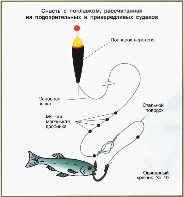 Поплавочная оснастка на щуку на живца Определяющие факторы, от которых зависит ловля судака на спиннинг Udim.ru (Удим.