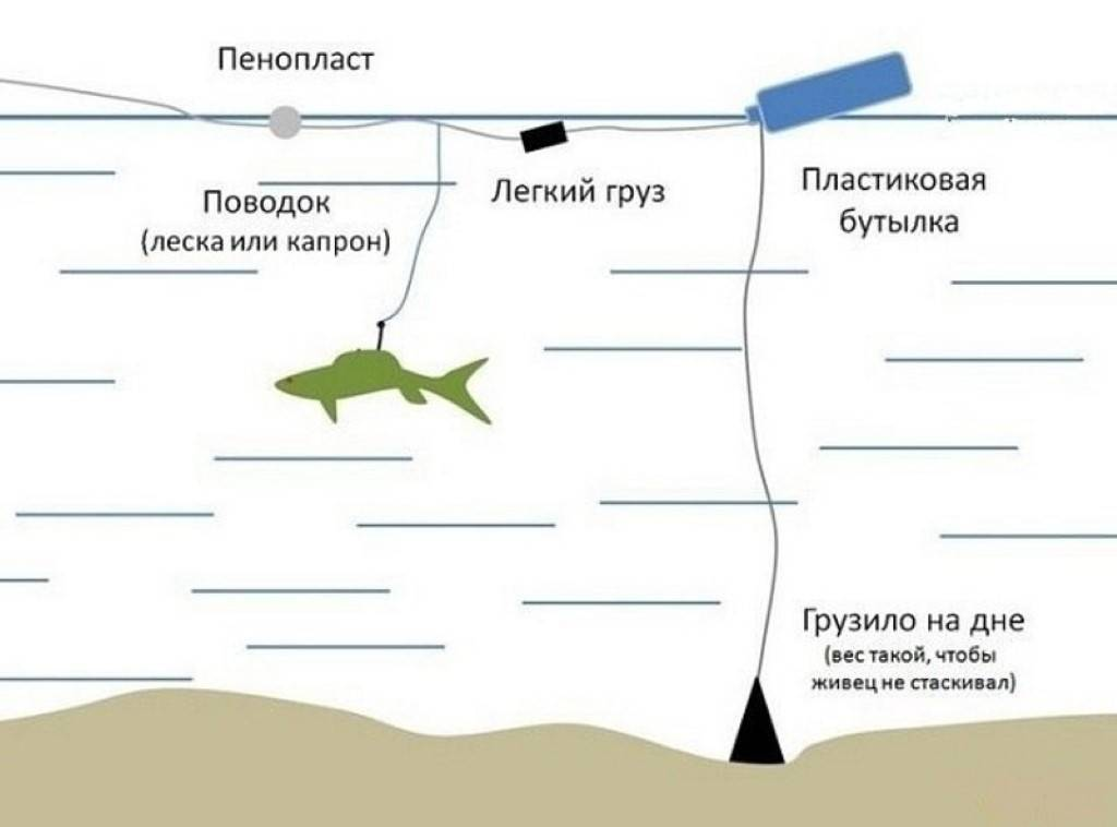 Поплавочная оснастка на щуку на живца Ловля на живца Только про рыбалку Дзен