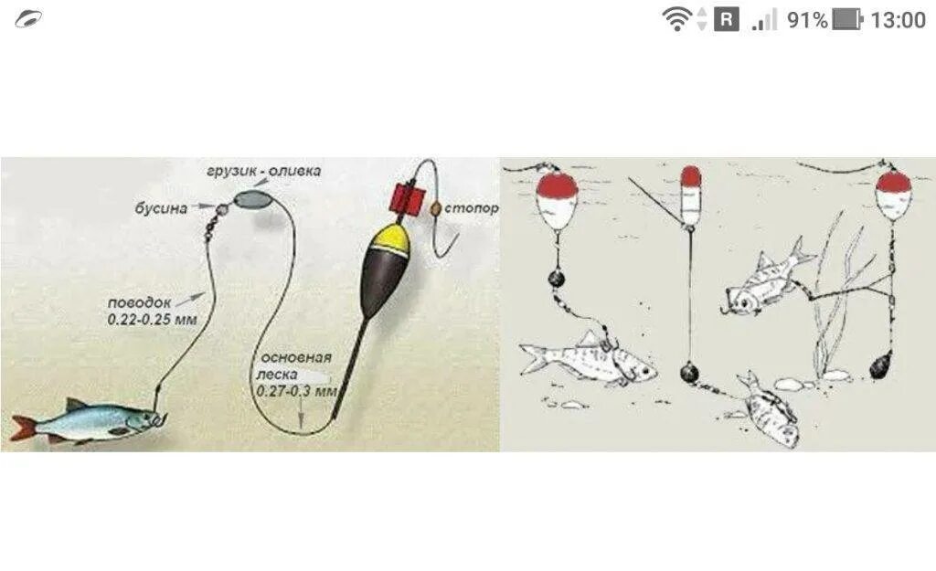 Поплавочная оснастка на щуку на живца Ловля щуки на бутылку на живца с берега и с лодки