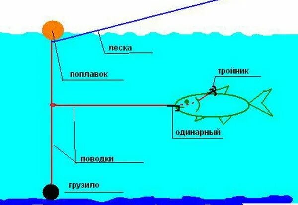 Поплавочная снасть на щуку с живцом оснастка Как ловить щуку на спиннинг с берега, особенности ловли на поплавок, живца