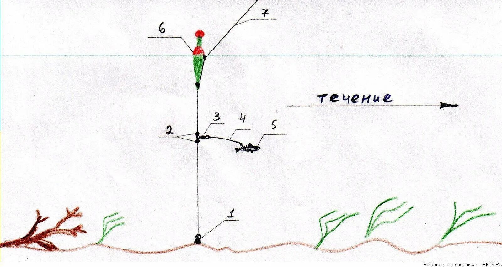 Поплавочная снасть на щуку с живцом оснастка Щука на живца на поплавочную удочку: найдено 88 картинок