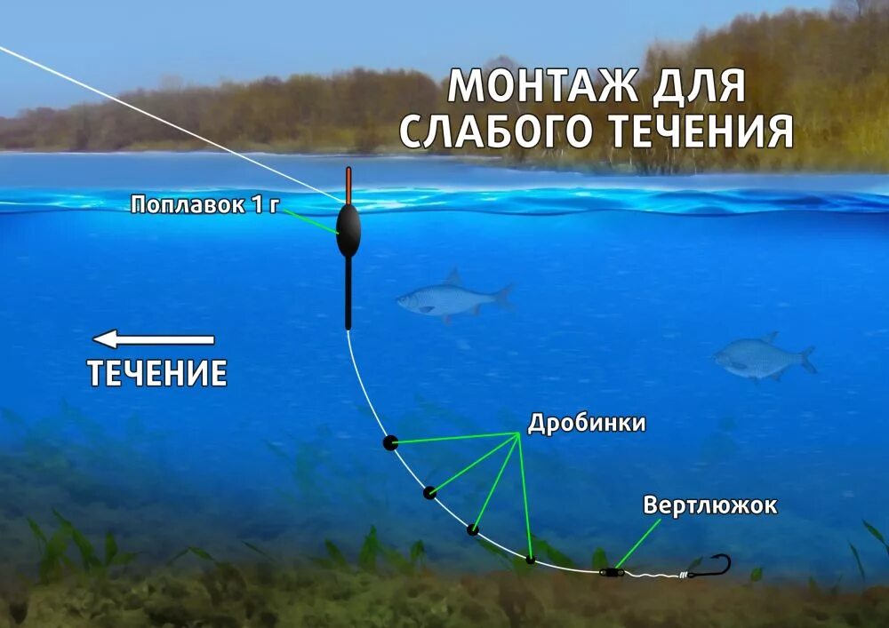 Поплавочные оснастки для ловли на течении Ловля в проводку на течении: снасти, техника и тактика ловли