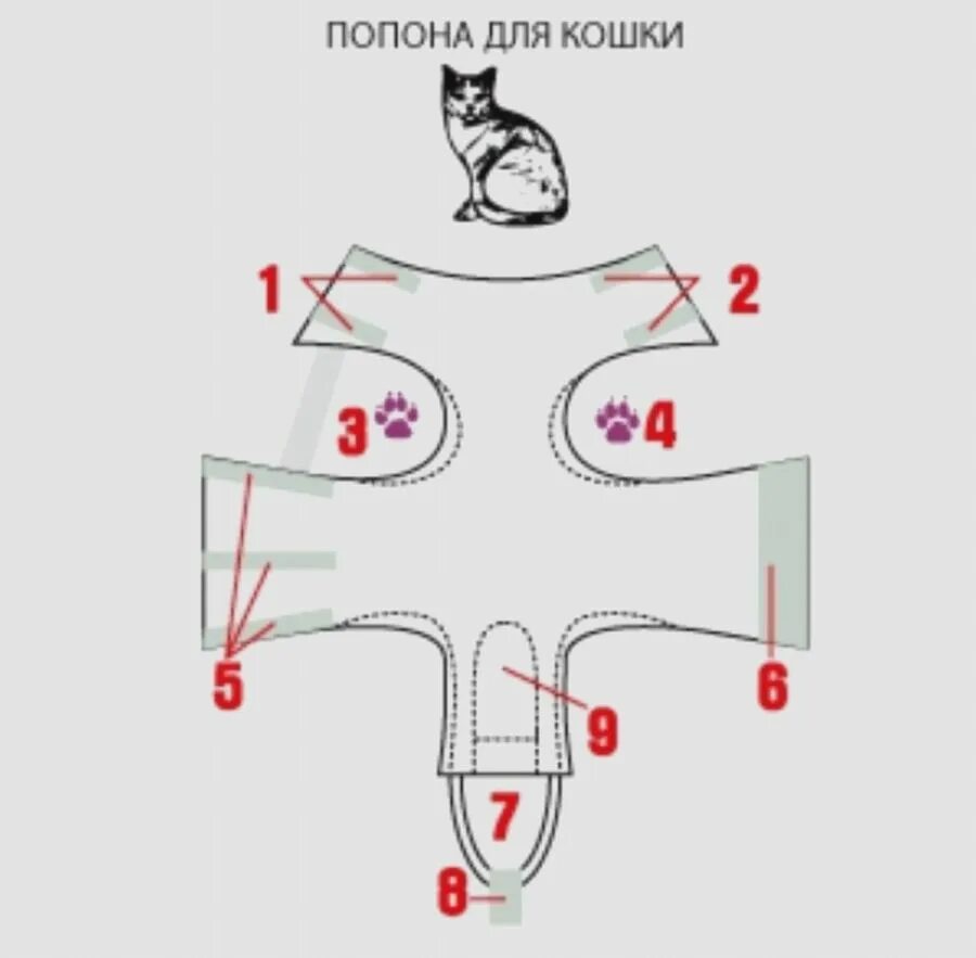 Попона для кошки своими руками выкройки Как сделать бандаж для кошки: 12 выкроек с описанием реализация руками smutps.ru