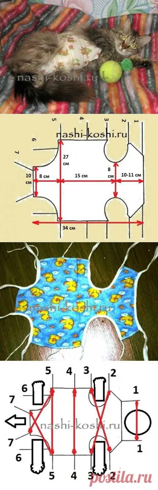 Попона для кошки выкройка Послеоперационная попона (бандаж) для кошки - выкройка, как надеть Вс � Leto - э