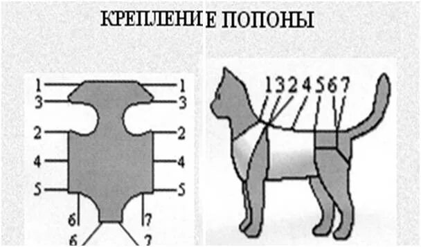 Попона для кошки выкройка Как сшить попону для кошки после стерилизации: выкройка одежды своими руками