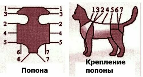 Попона для кошки выкройка Попоны послеоперационные - купить в Астрахани, цена 30 руб., продано 10 декабря 