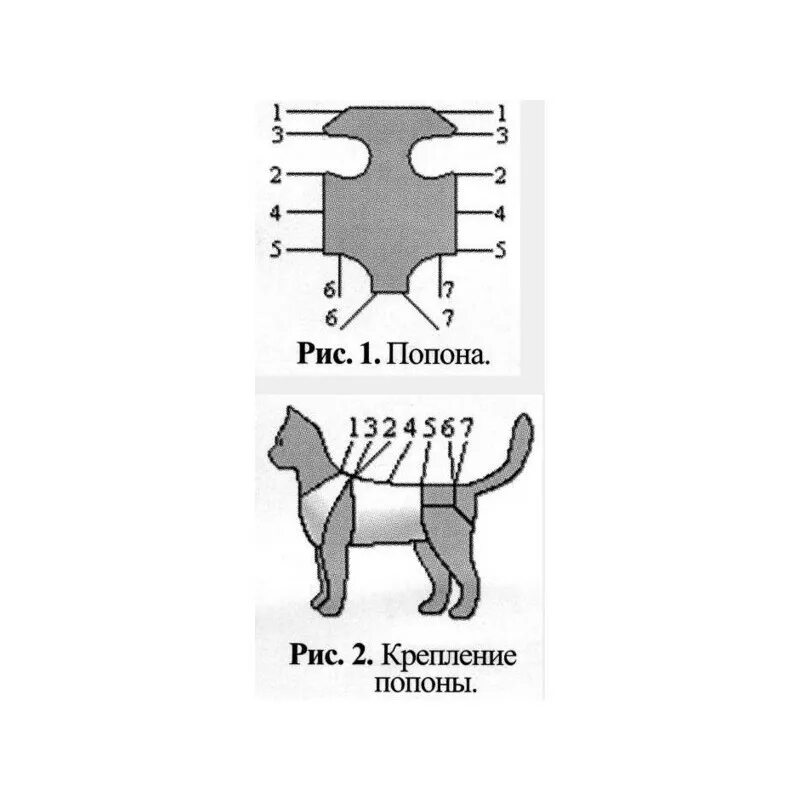 Попона для кошки выкройка Попона послеоперационная для кошек купить в Витебске в ЗОО Лавке