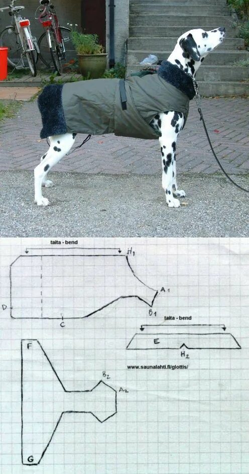 Попона для собак выкройка своими руками БОХО Рисунок собаки, Собаки, Уход за собакой