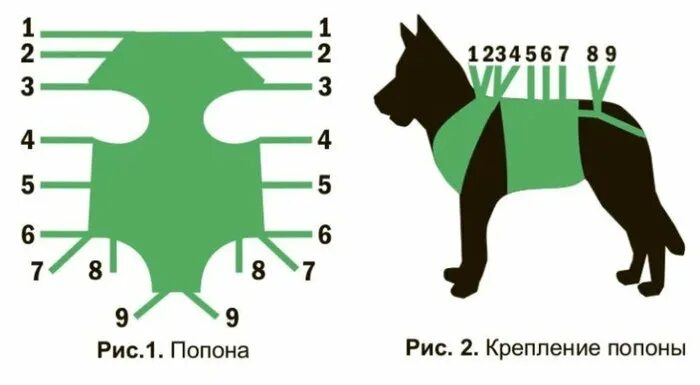 Попона для собаки выкройка Послеоперационная попона для собак (№ 2) (ID# 185289508), цена: 15.82 руб., купи