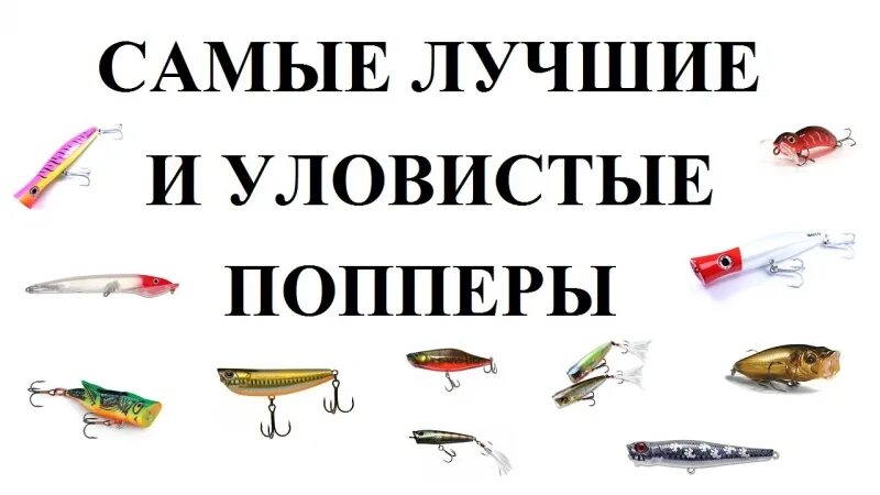 Поппер на окуня самый уловистый Самые лучшие и уловистые попперы - порно на Моресисек