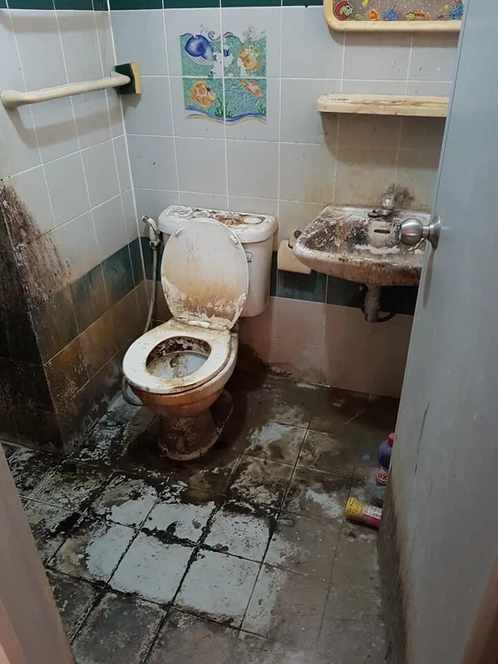 Порча по фото в общем туалете Landlady Finds Her House Covered In Filth After Tenant Of 9 Years Leaves Without