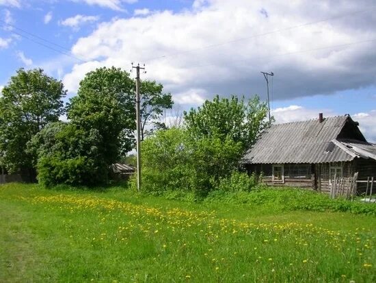 Порховский район деревня логовино википедия фото Локон с того света: Какую мистическую тайну хранит Порховский край - МК Псков