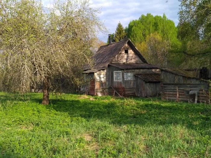 Порховский район деревня логовино википедия фото Рожнево опустевший населённый пункт