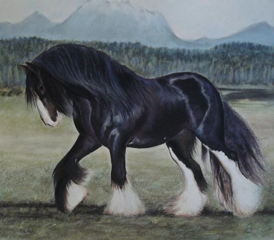 Породы лошадей с фото Shire Horse by PASTELIZATOR on deviantART Shire horse, Horses, Horse artwork