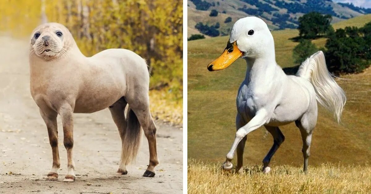 Породы животные картинки This Artist Can’t Stop Creating Weird and Wonderful Animal Hybrids in Photoshop 