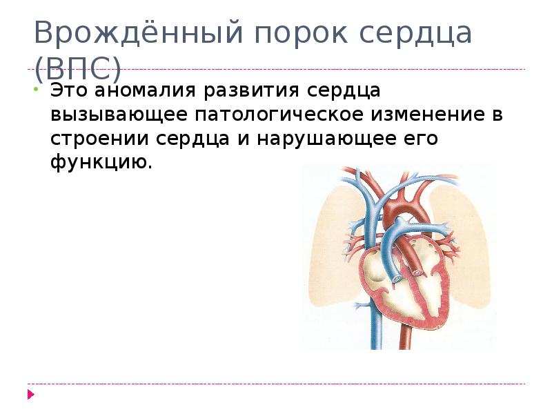 Пороги сердца фото Фотографии ПОРОК СМ