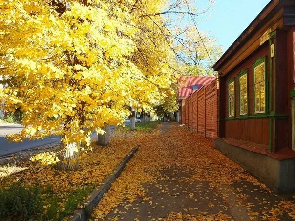 Поролошка осенняя ул 19 стр 2 фото The leaves are yellow over the city, With a quiet rustle under our feet, And not