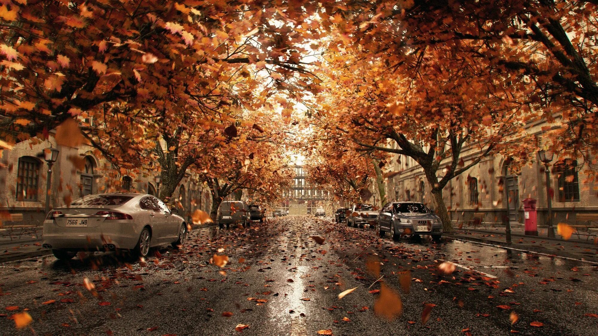 Поролошка осенняя ул 19 стр 2 фото Road to office building covered with autumn leaves Photography wallpaper, Old ph