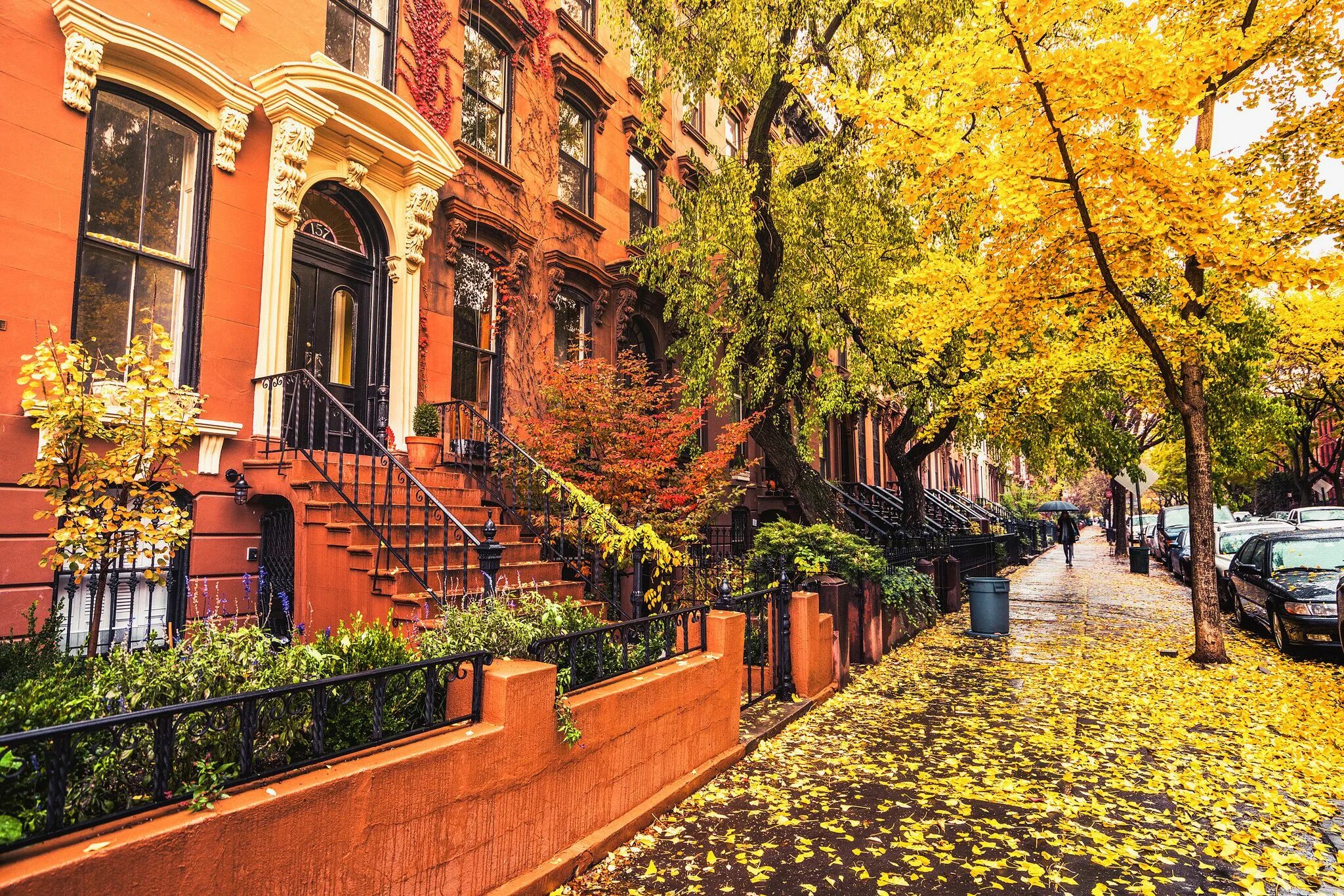 Поролошка осенняя ул 19 стр 2 фото Autumn in New York Autumn in new york, Carroll gardens brooklyn, New york life